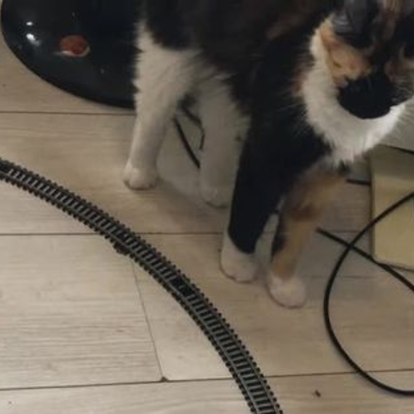Vorschaubild