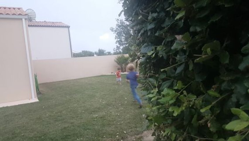 Vorschaubild