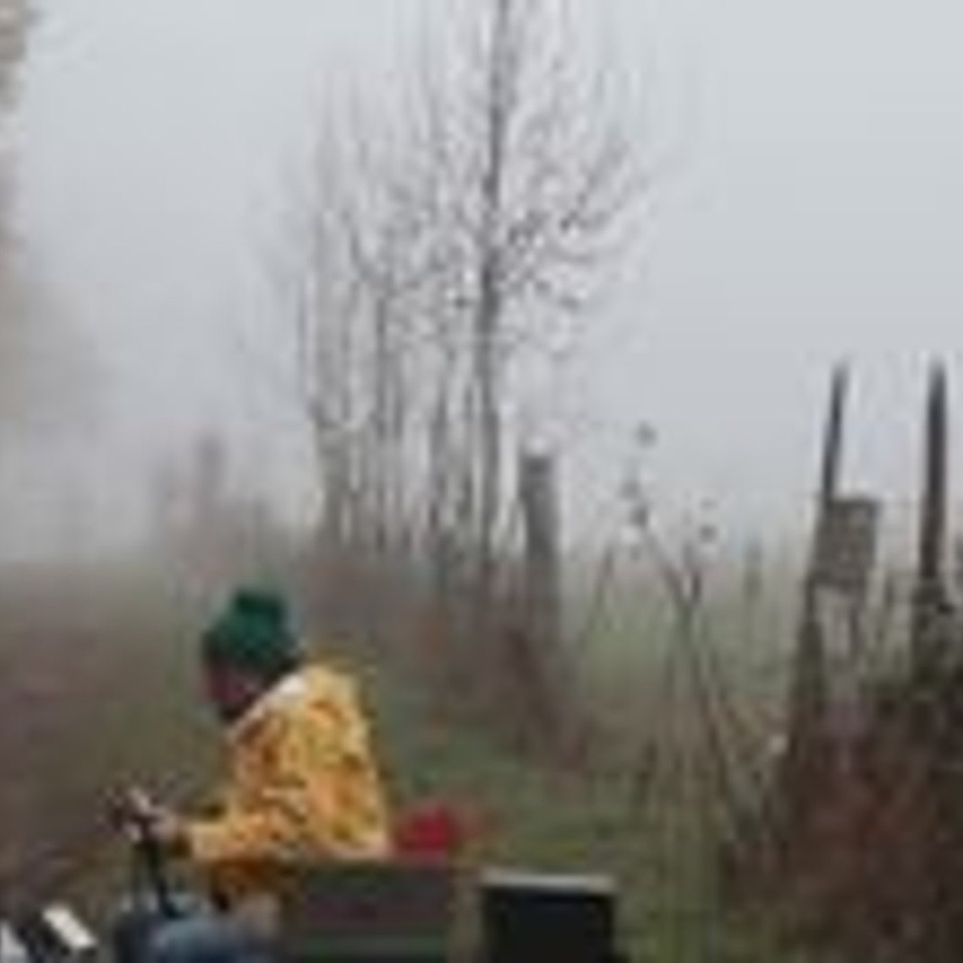 Vorschaubild