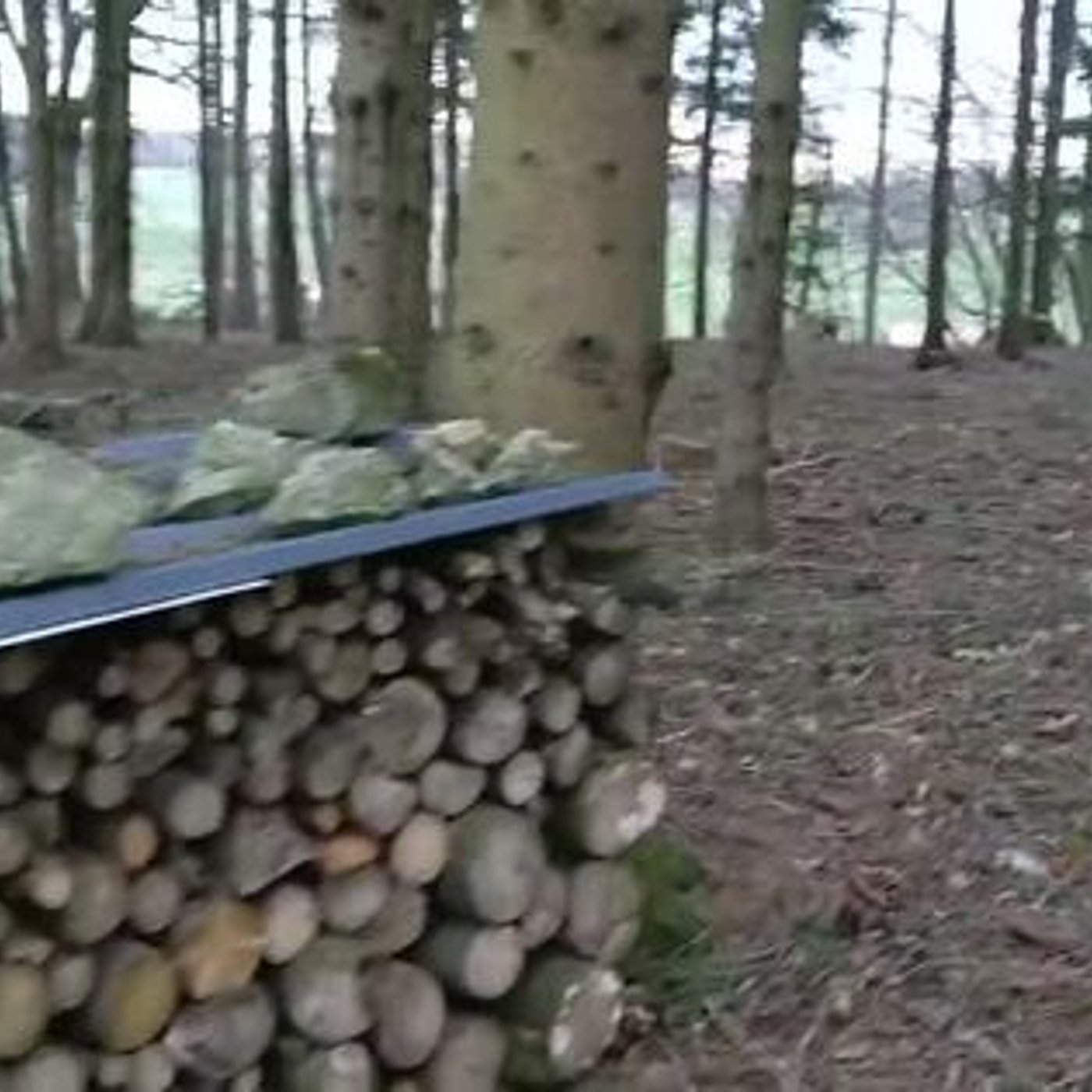 Vorschaubild